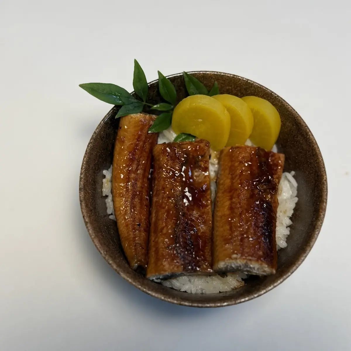 unagi don うなぎ丼